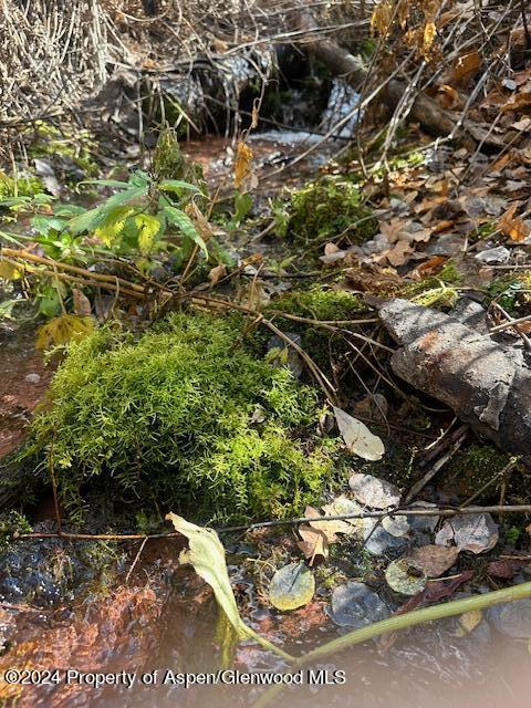 349 Crystal Circle Carbondale CO 81623