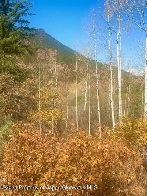 349 Crystal Circle Carbondale CO 81623