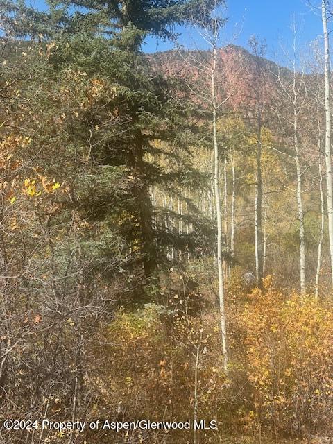 349 Crystal Circle Carbondale CO 81623