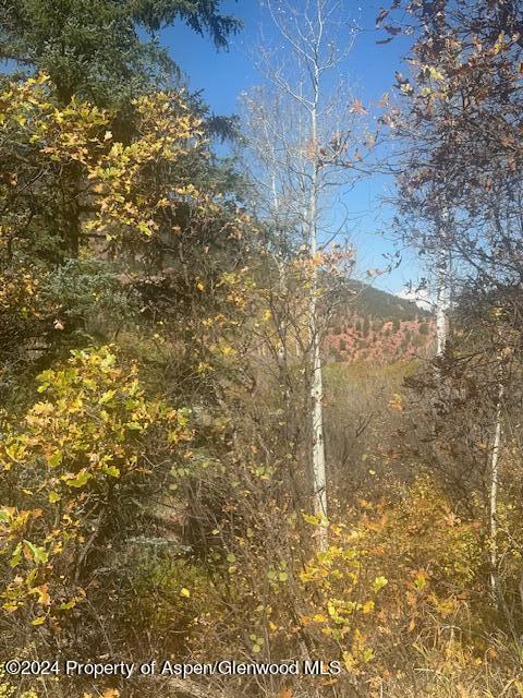 349 Crystal Circle Carbondale CO 81623