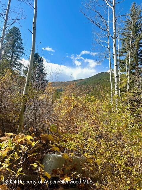 349 Crystal Circle Carbondale CO 81623