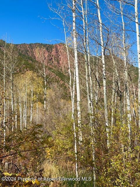 349 Crystal Circle Carbondale CO 81623