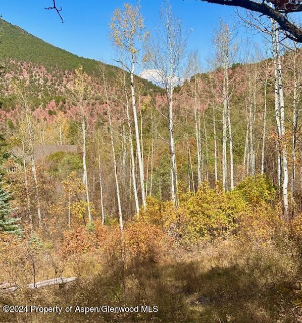 349 Crystal Circle Carbondale CO 81623