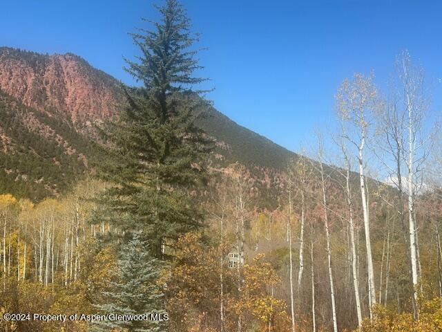 349 Crystal Circle Carbondale CO 81623