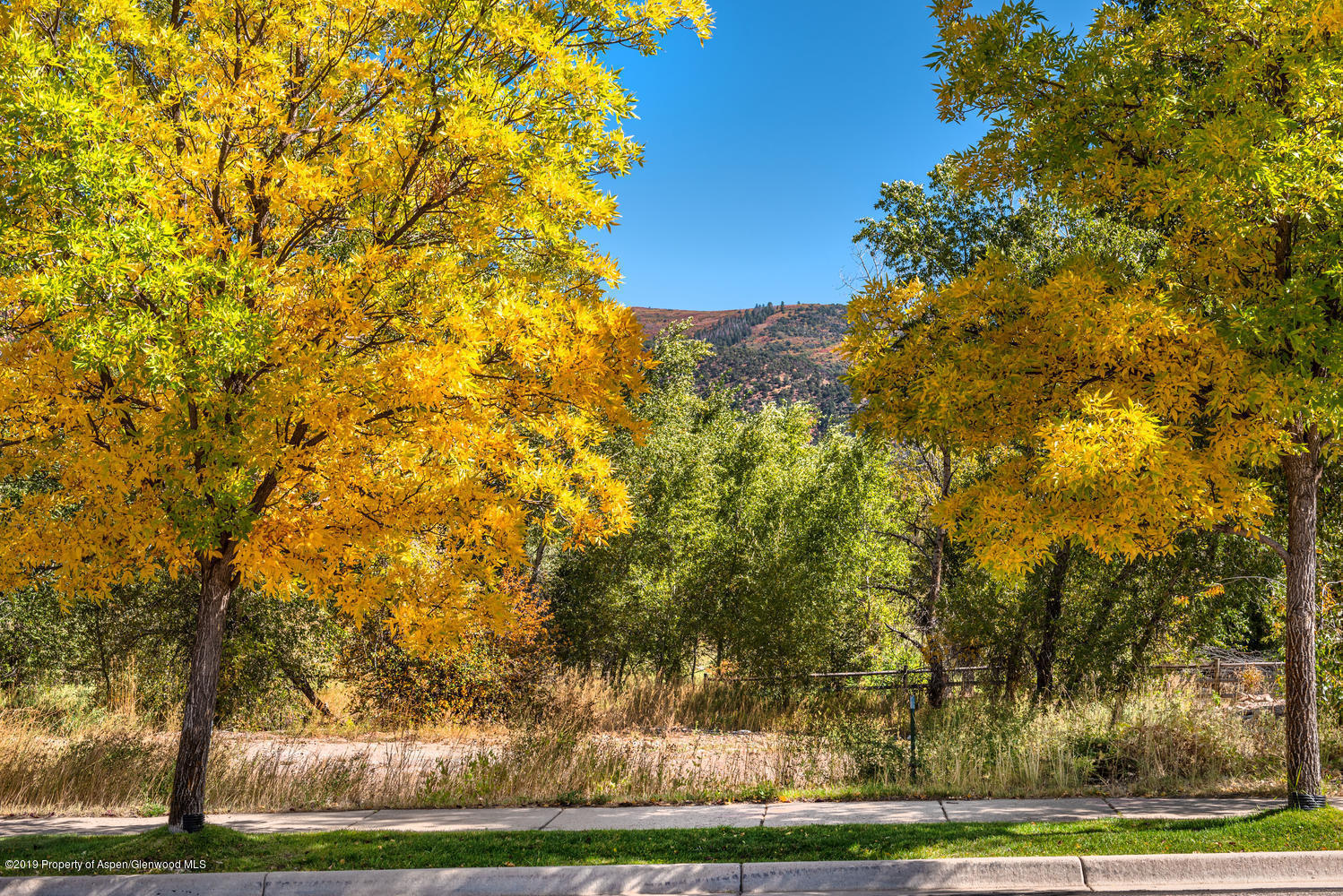 407 Allison Lane Basalt CO 81621