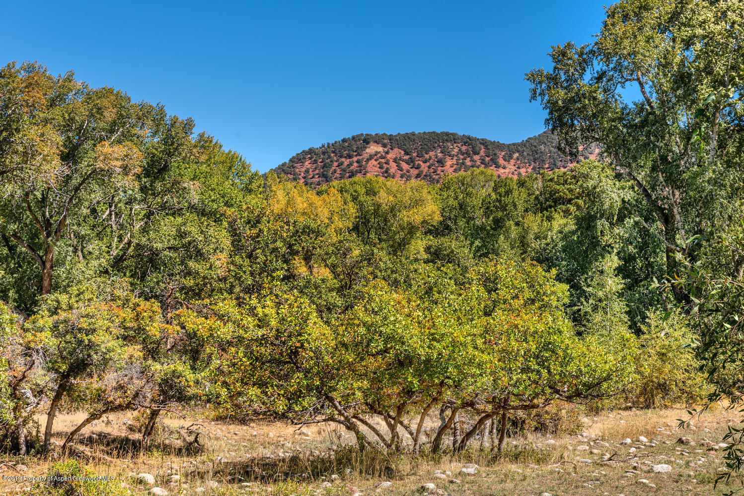 407 Allison Lane Basalt CO 81621