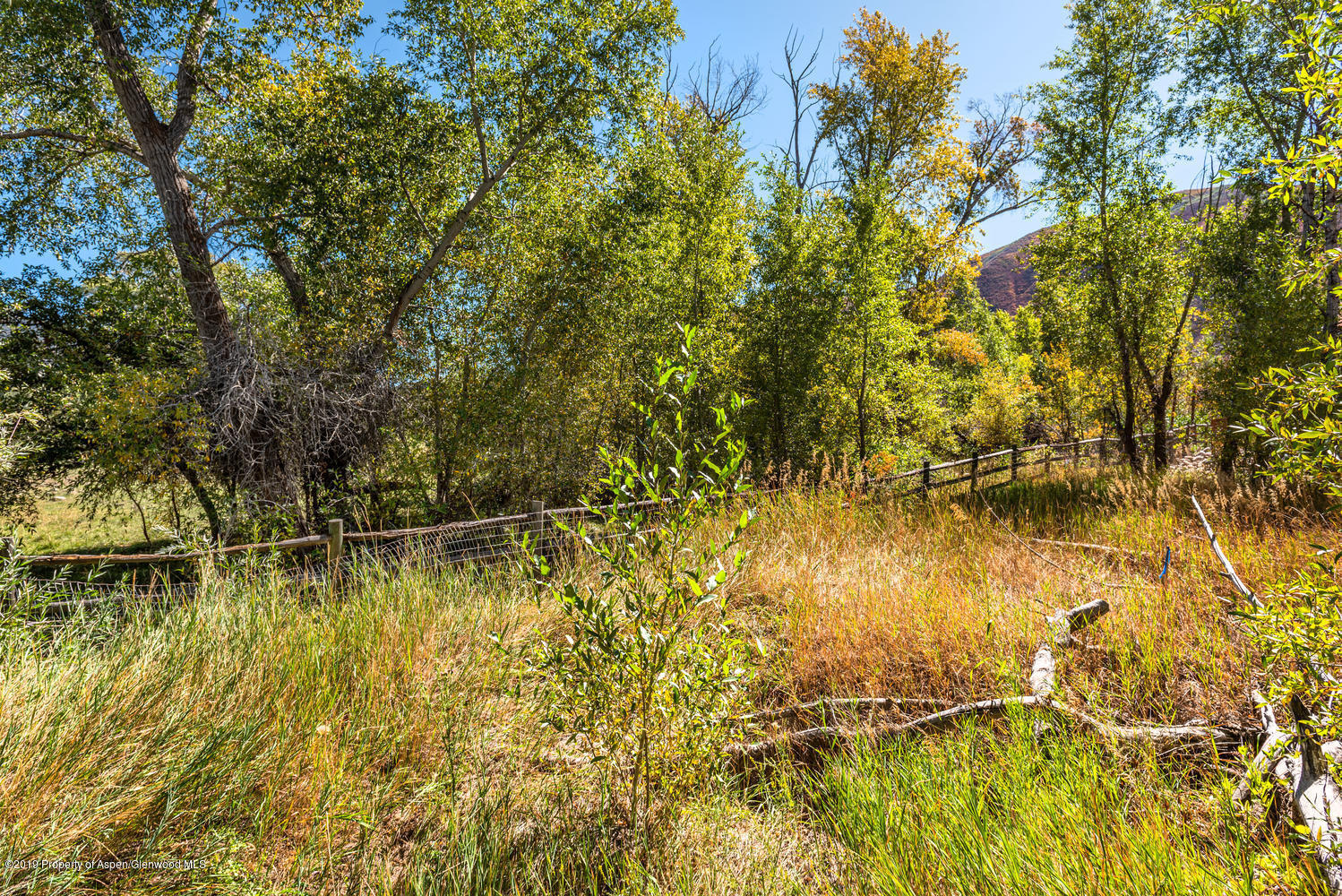 407 Allison Lane Basalt CO 81621