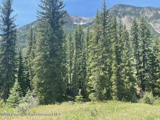 3950 Co Road 3 Marble CO 81623