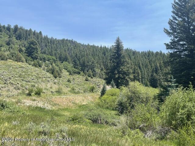 3950 County Road 3 Marble CO 81623