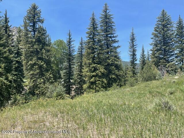 3950 Co Road 3 Marble CO 81623