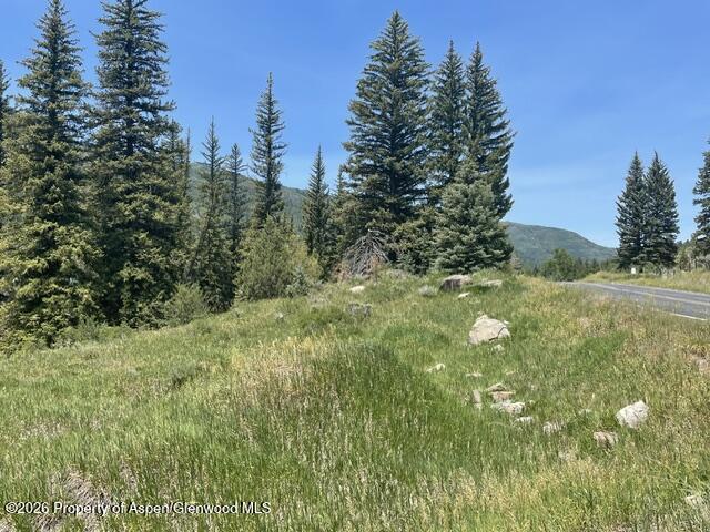 3950 Co Road 3 Marble CO 81623