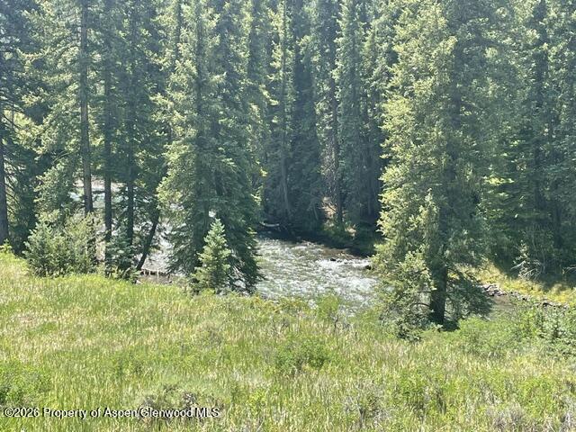 3950 Co Road 3 Marble CO 81623