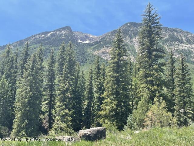 3950 Co Road 3 Marble CO 81623