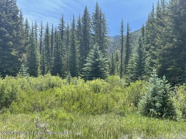 3950 Co Road 3 Marble CO 81623