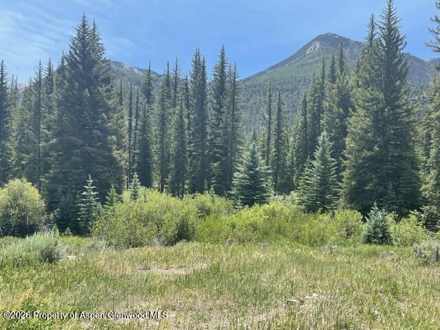 3950 Co Road 3 Marble CO 81623
