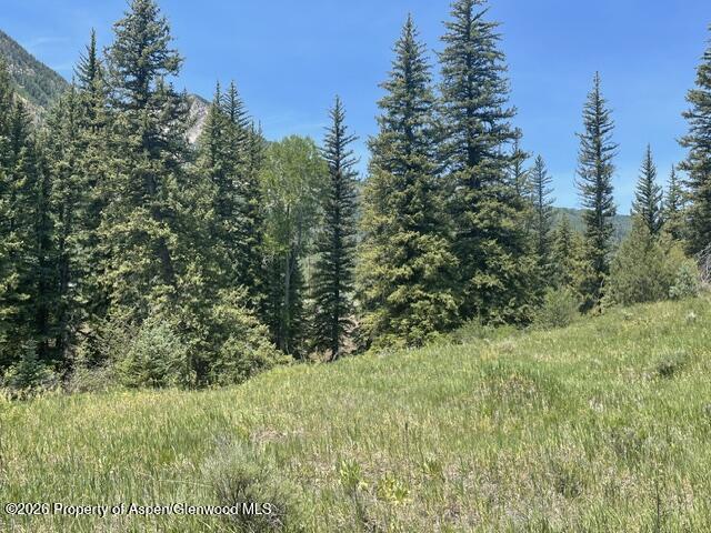 3950 Co Road 3 Marble CO 81623