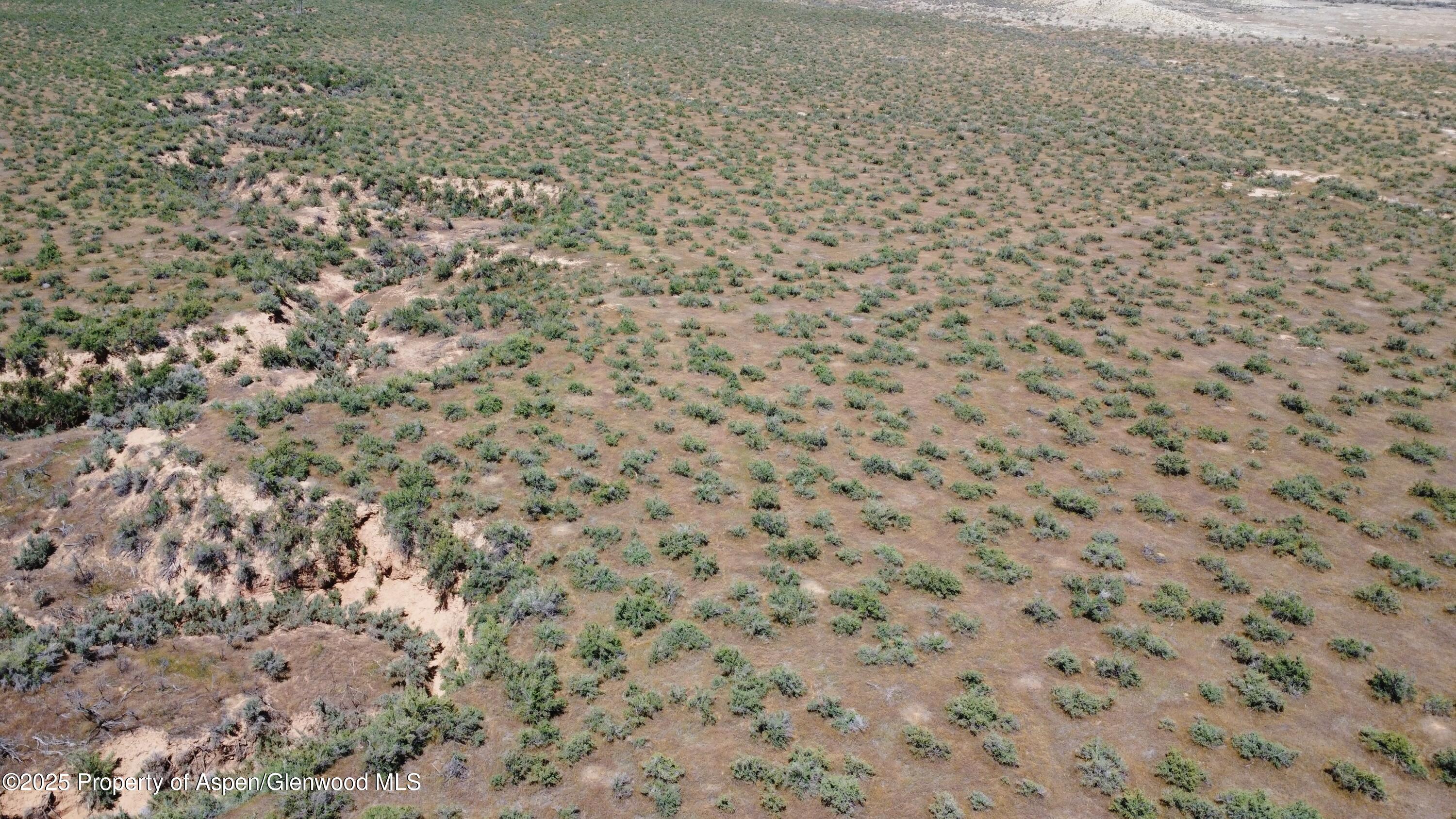 Tbd Highway 40 Dinosaur CO 81610