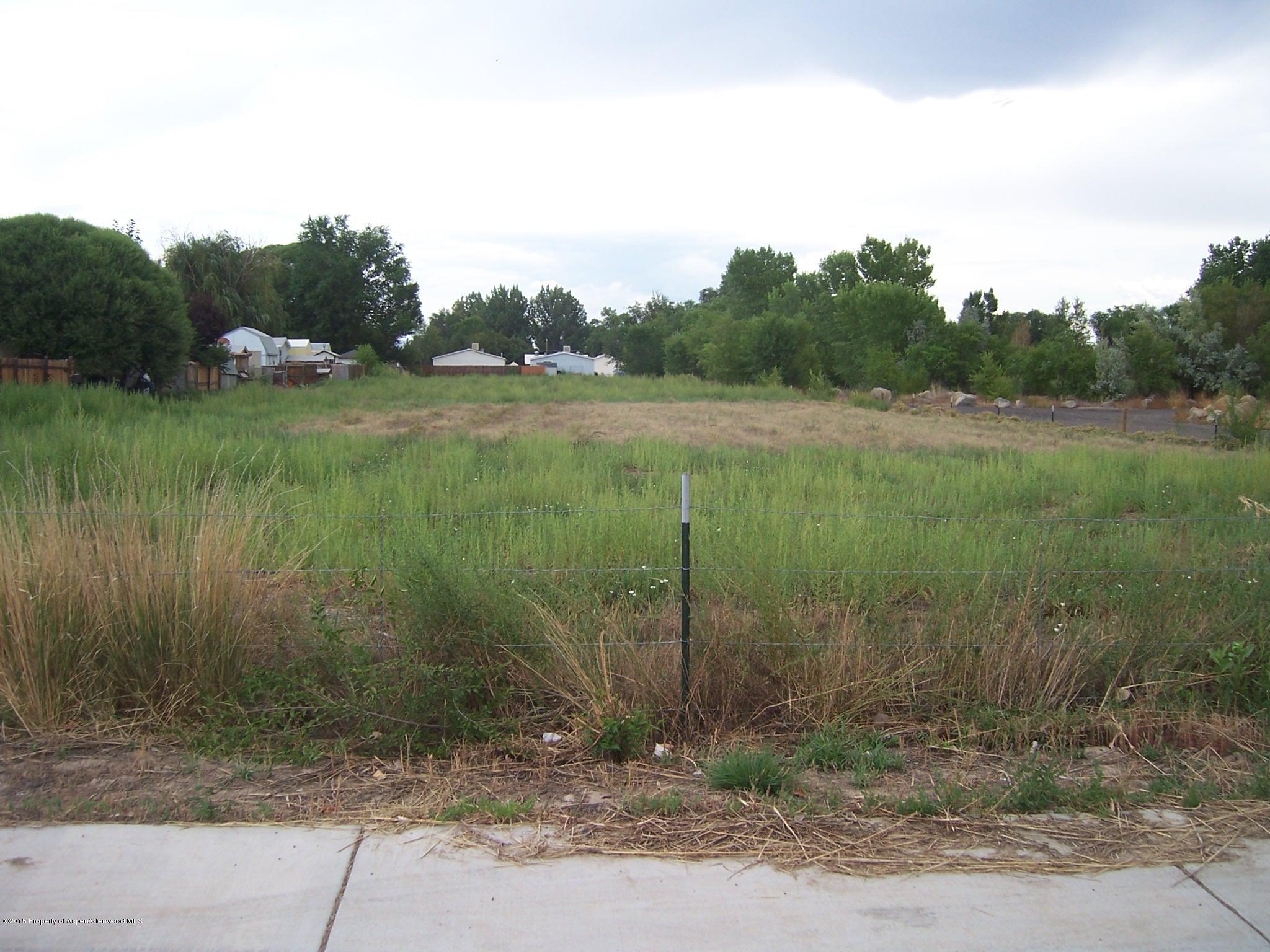 287 Clements Way Fruita CO 81521