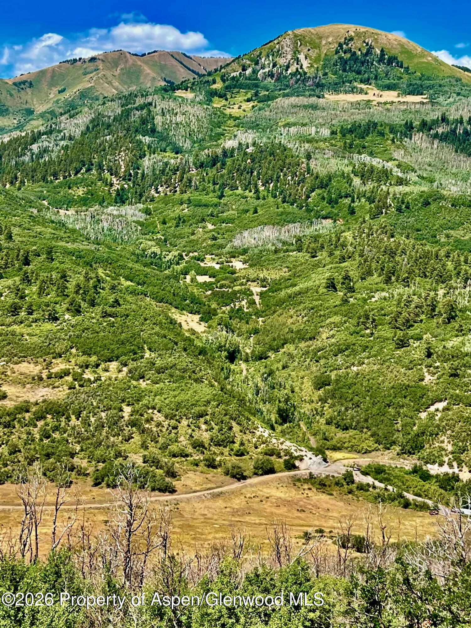 1368 Cr 124 Durango CO 81301