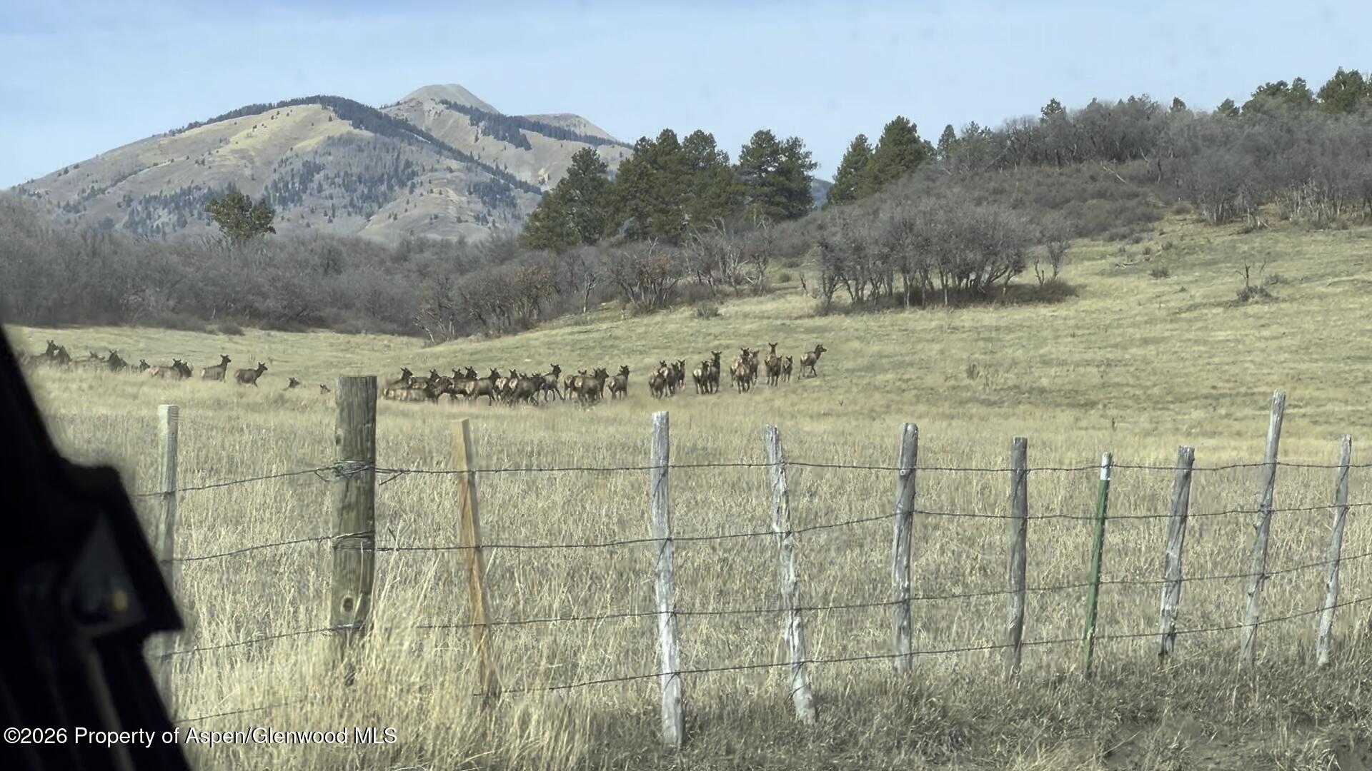 1368 Cr 124 Durango CO 81301