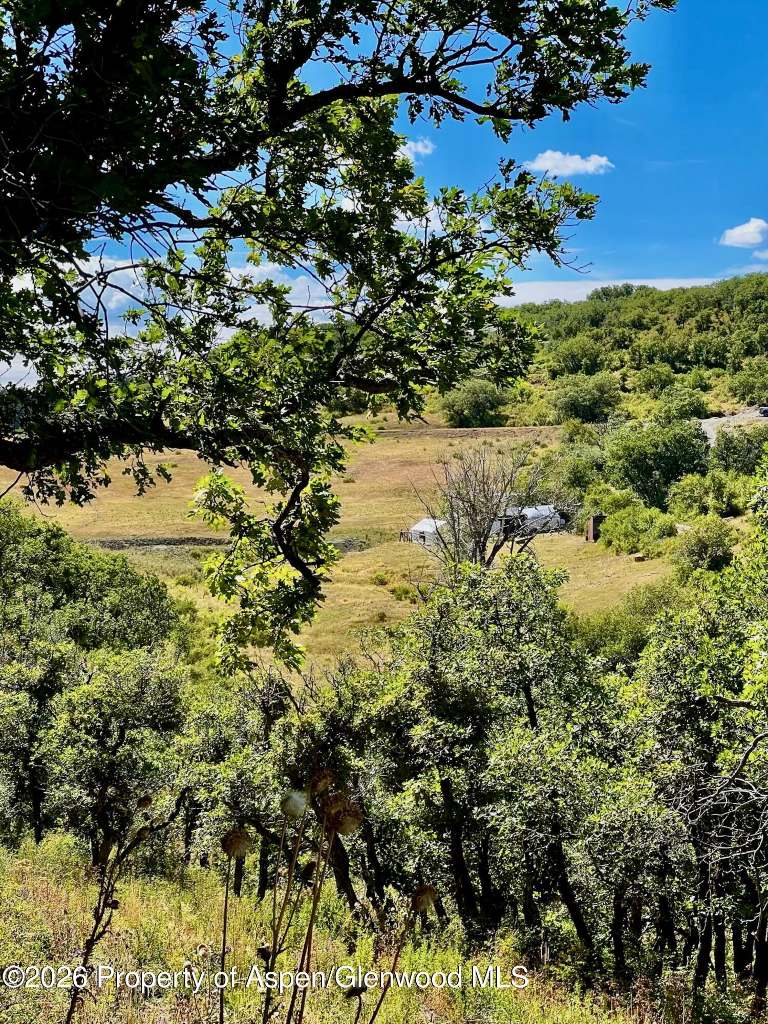 1368 Cr 124 Durango CO 81301