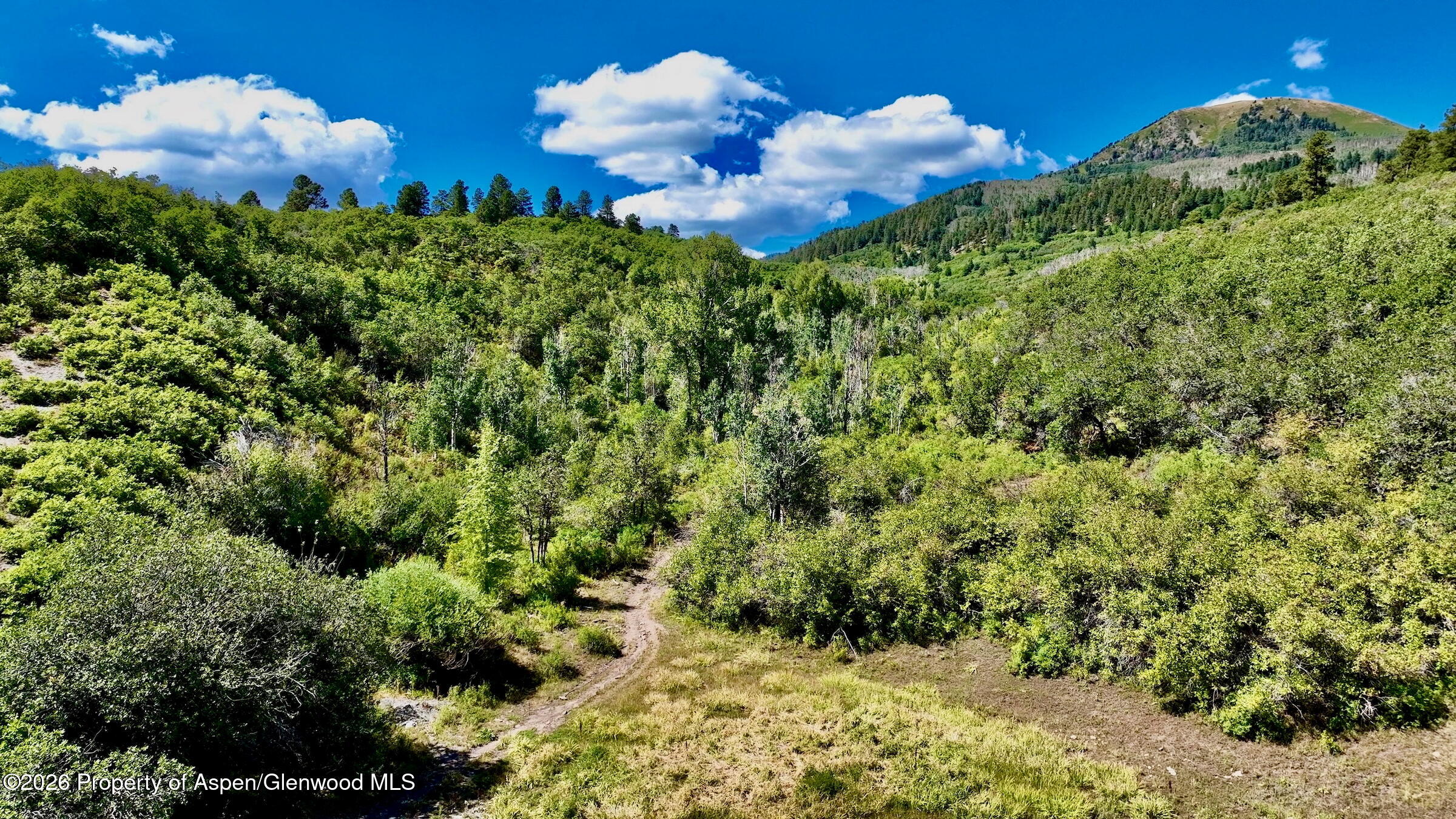 1368 Cr 124 Durango CO 81301