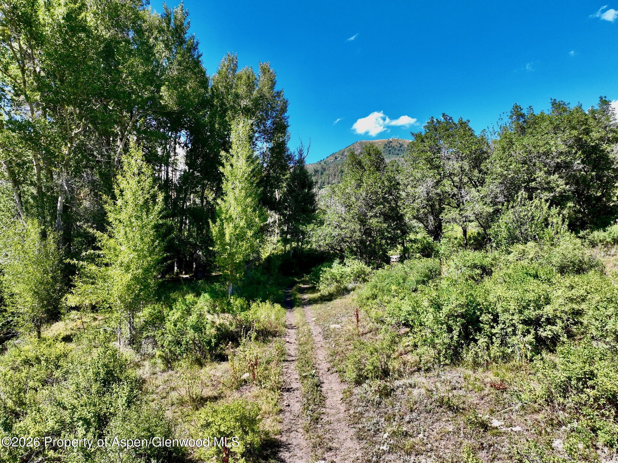 1368 Cr 124 Durango CO 81301