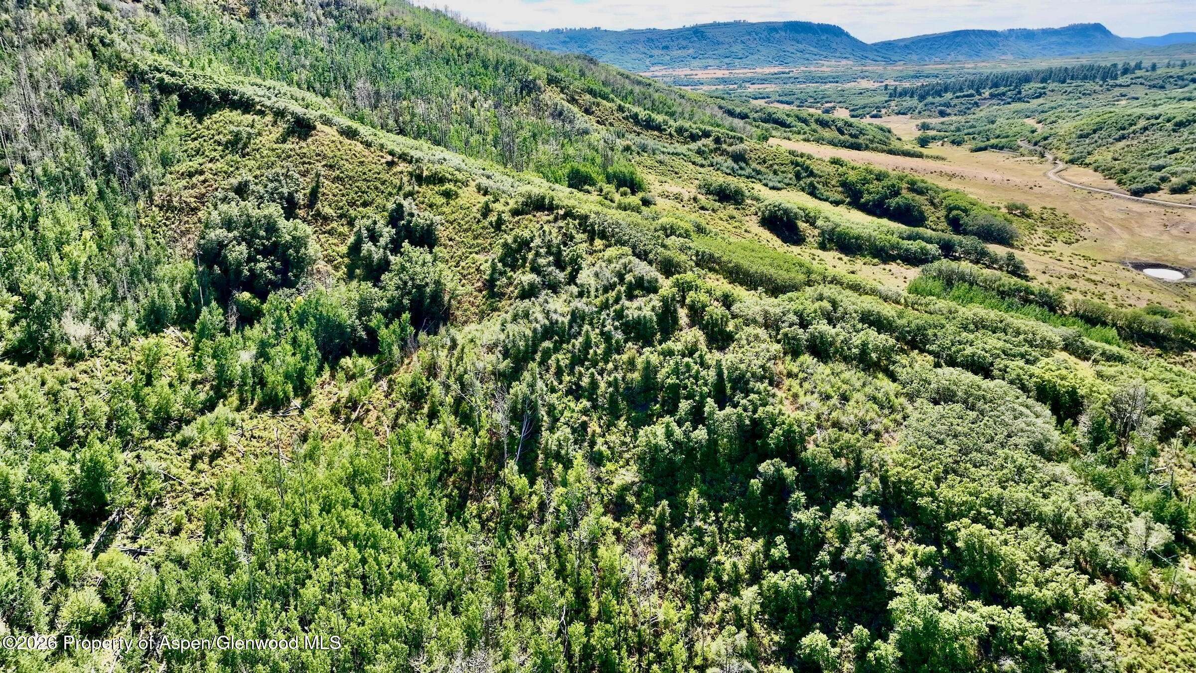 1368 Cr 124 Durango CO 81301