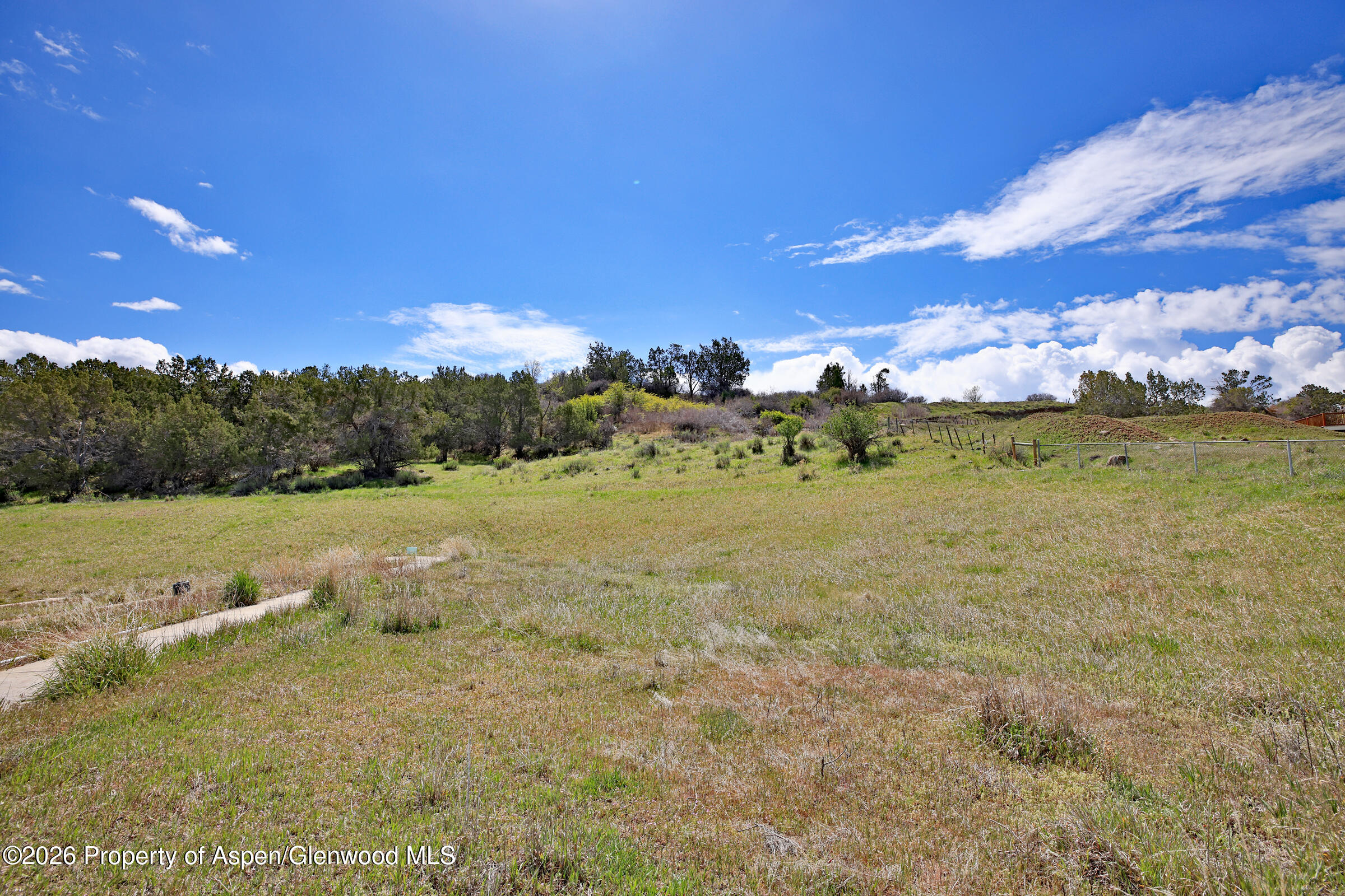 1006 Spring Street Collbran CO 81624