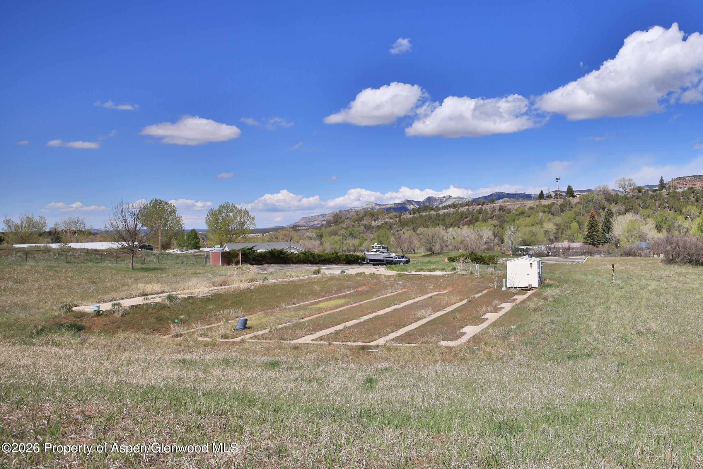 1006 Spring Street Collbran CO 81624