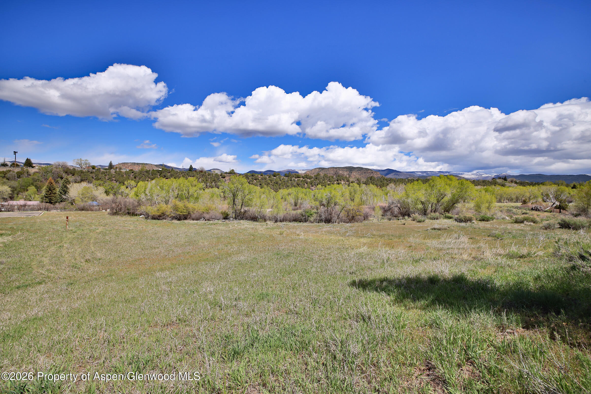 1006 Spring Street Collbran CO 81624