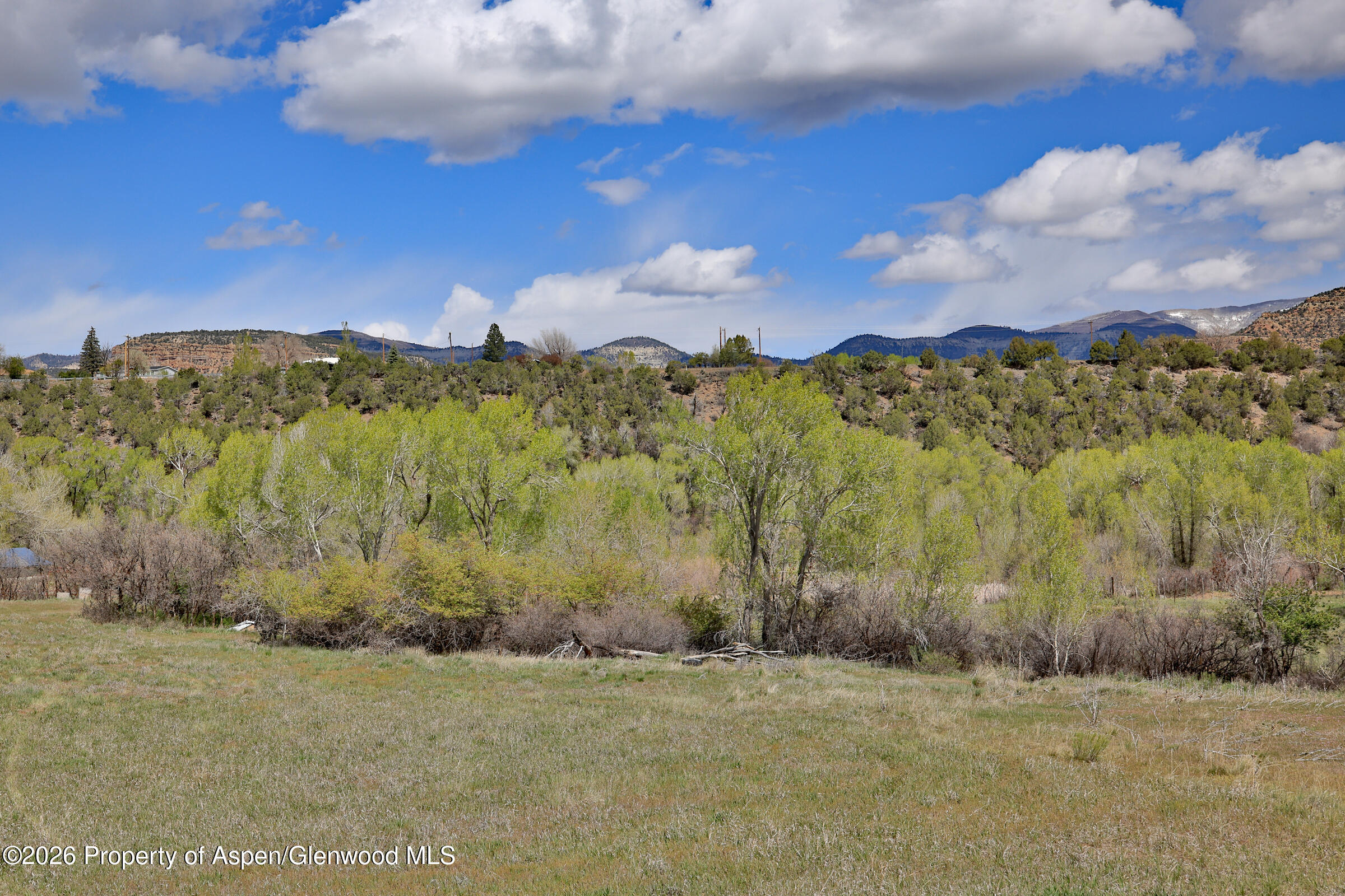 1006 Spring Street Collbran CO 81624