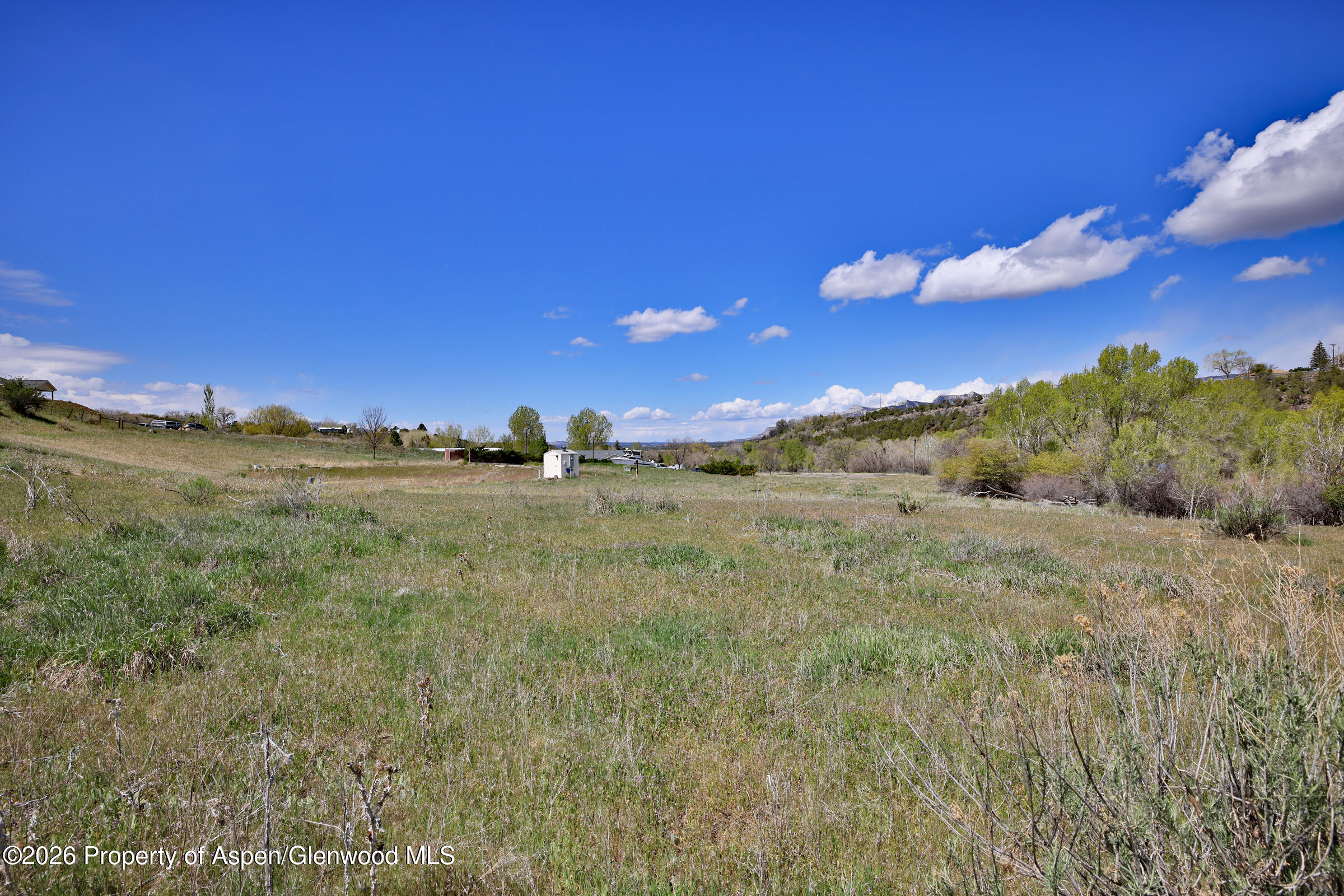 1006 Spring Street Collbran CO 81624