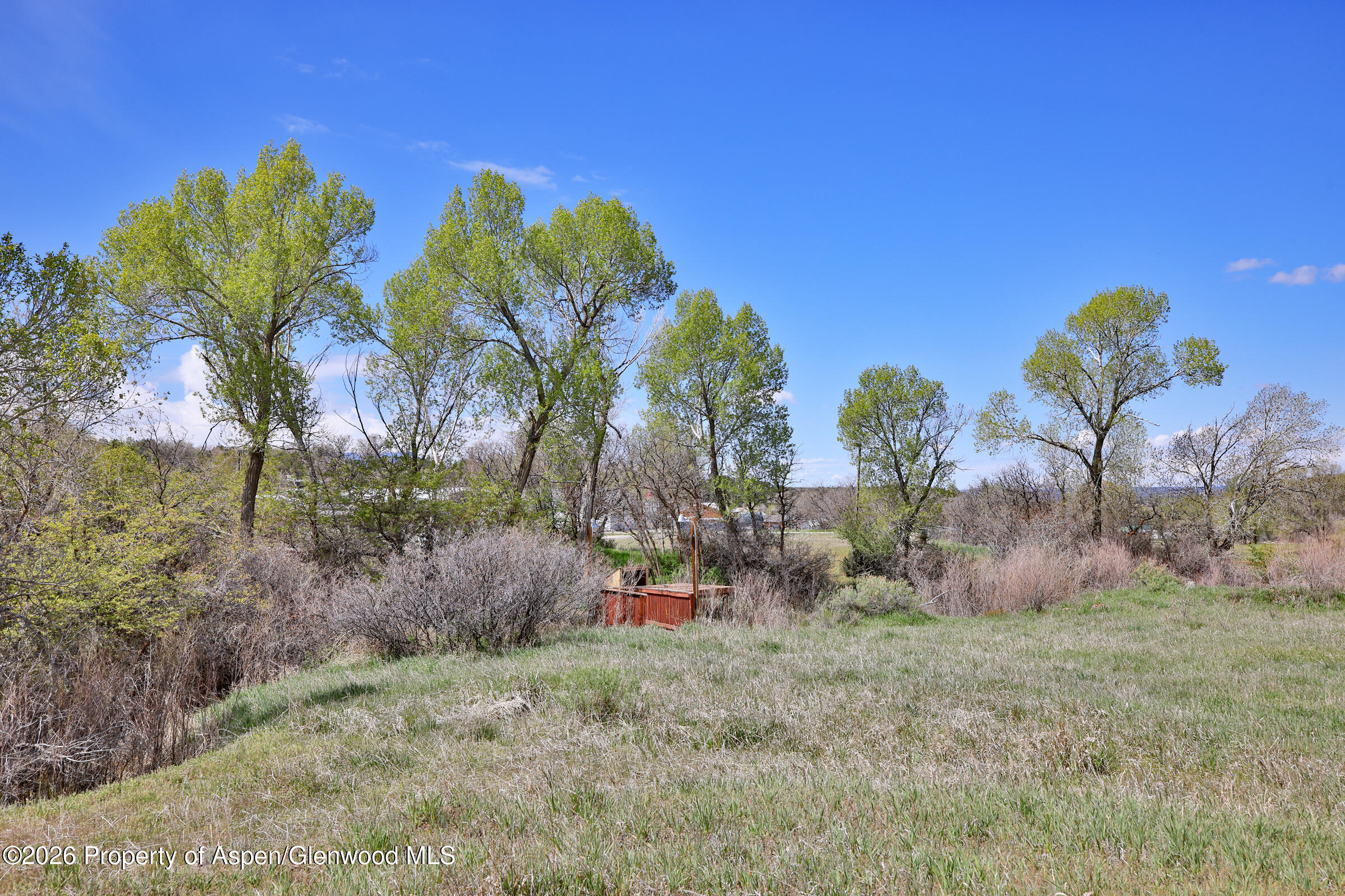 1006 Spring Street Collbran CO 81624
