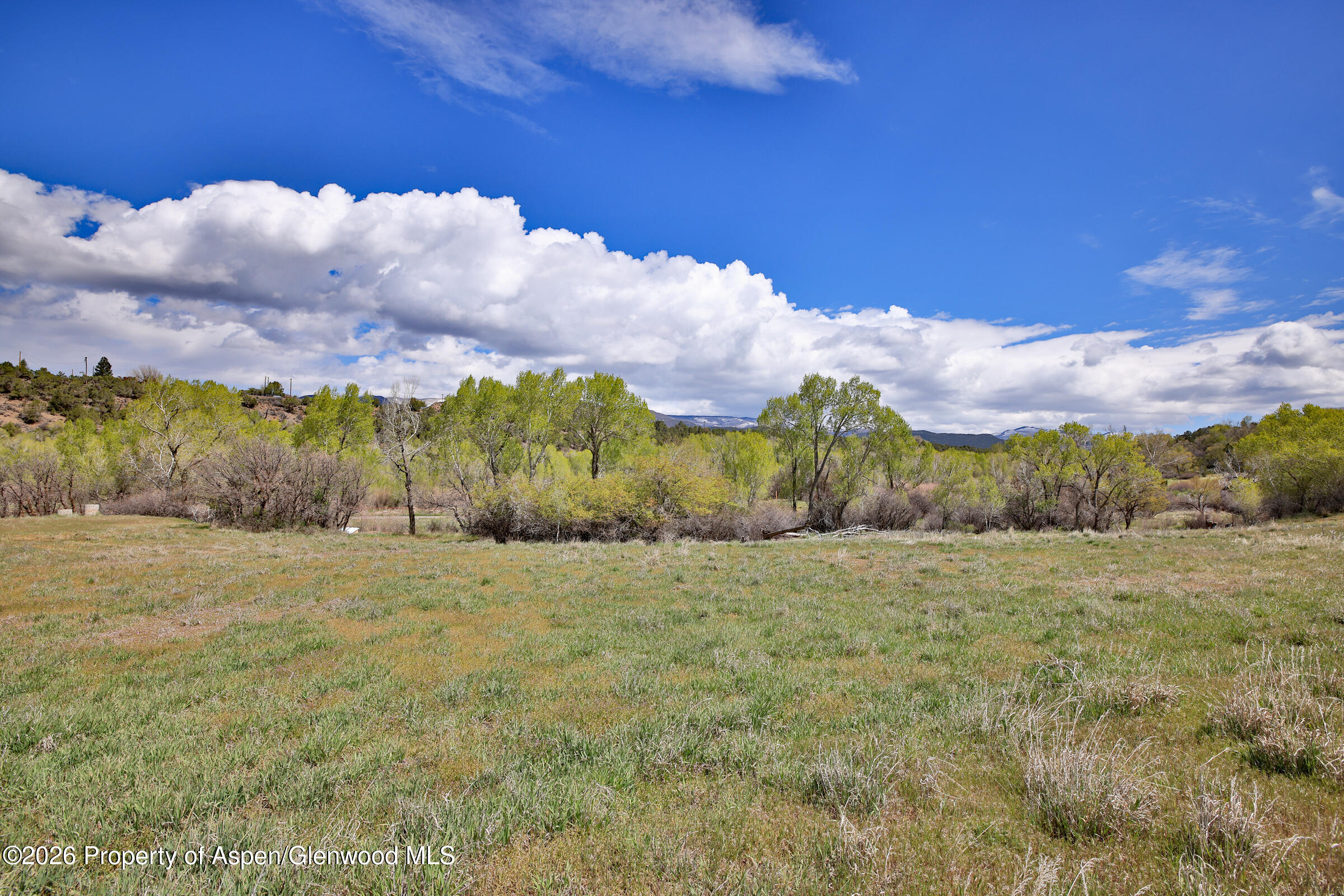 1006 Spring Street Collbran CO 81624