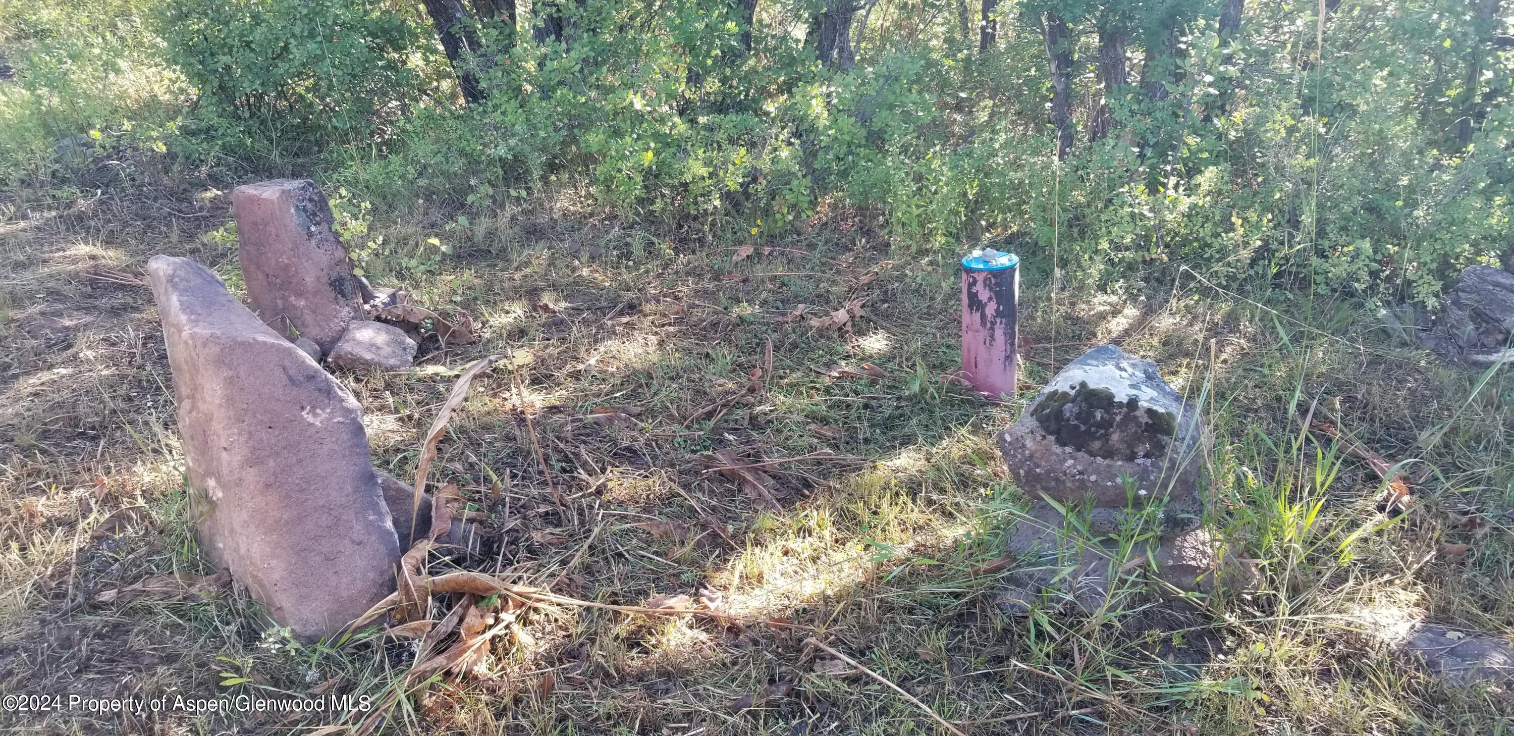 4500 Bear Wallow Lane Glenwood Springs CO 81601