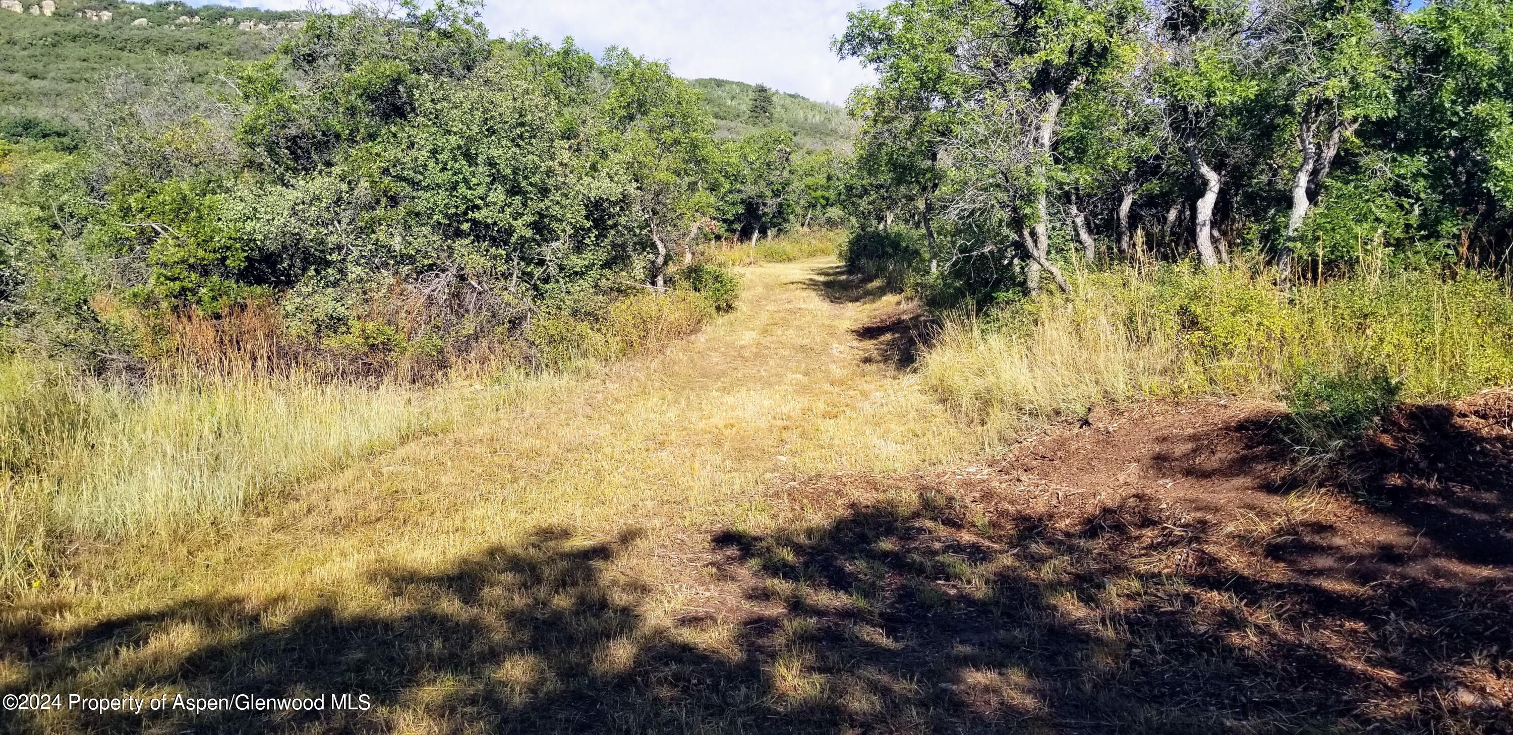 4500 Bear Wallow Lane Glenwood Springs CO 81601