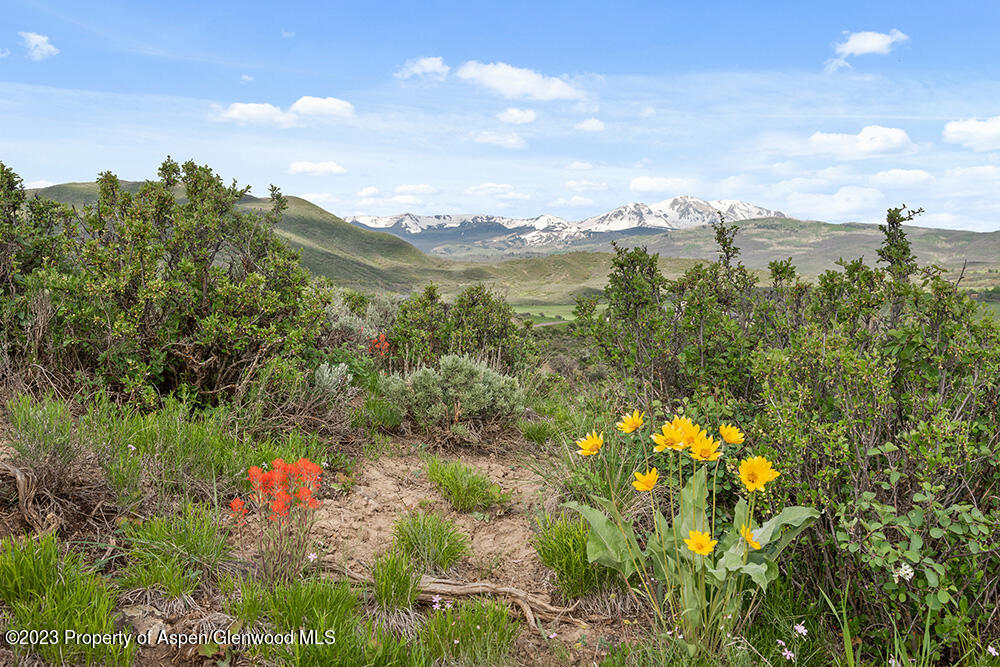 000 Lazy O Road Snowmass CO 81654