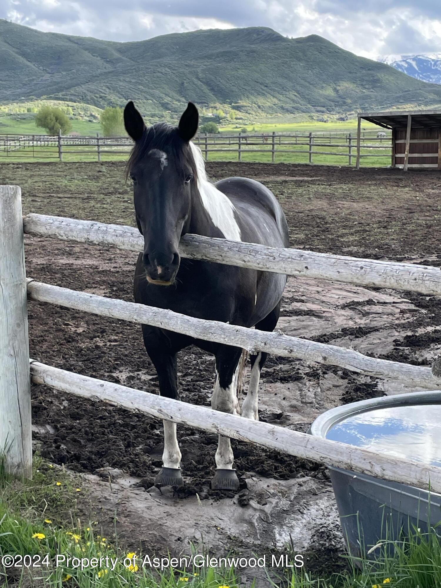 000 Lazy O Road Snowmass CO 81654