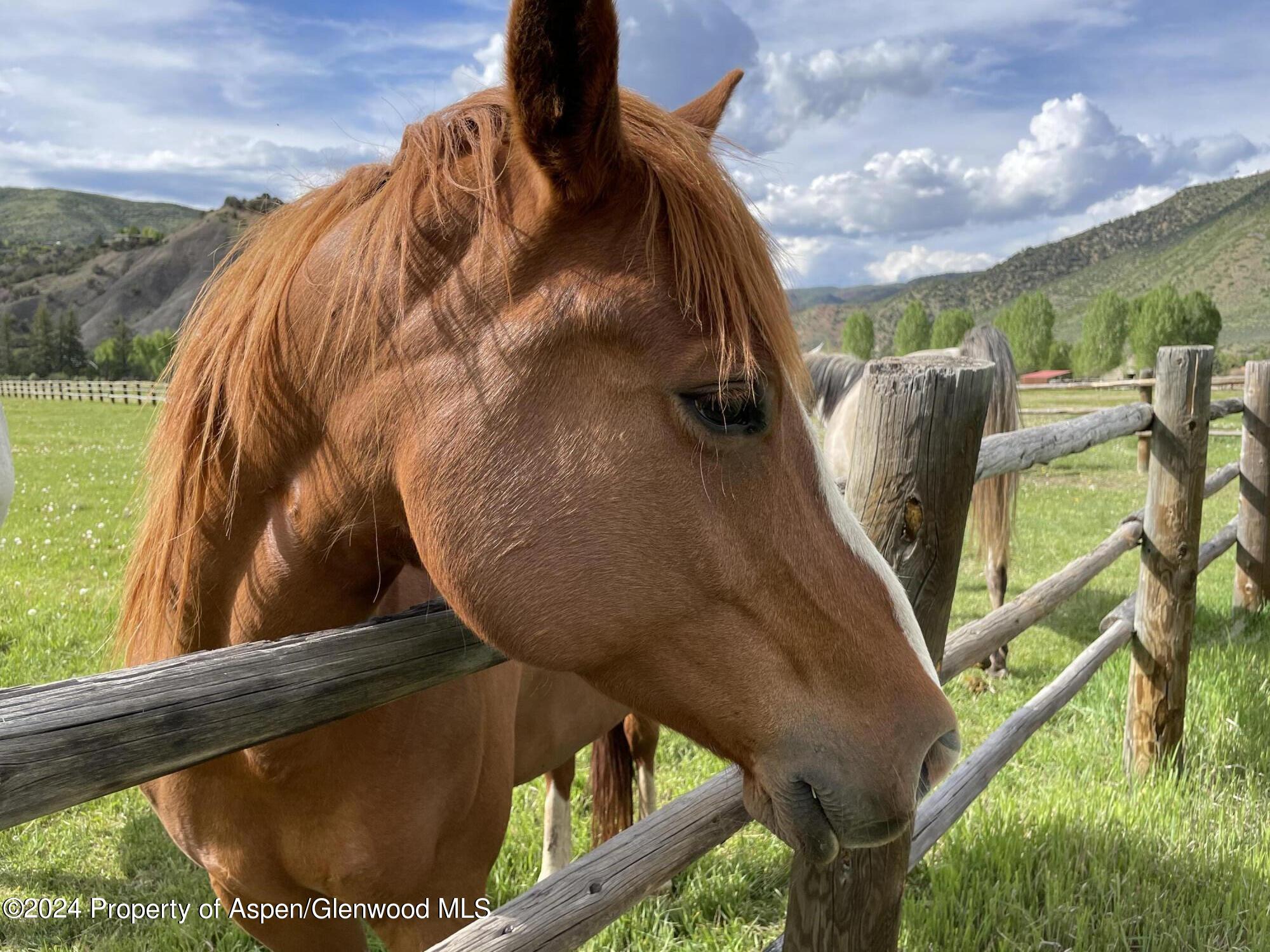 000 Lazy O Road Snowmass CO 81654