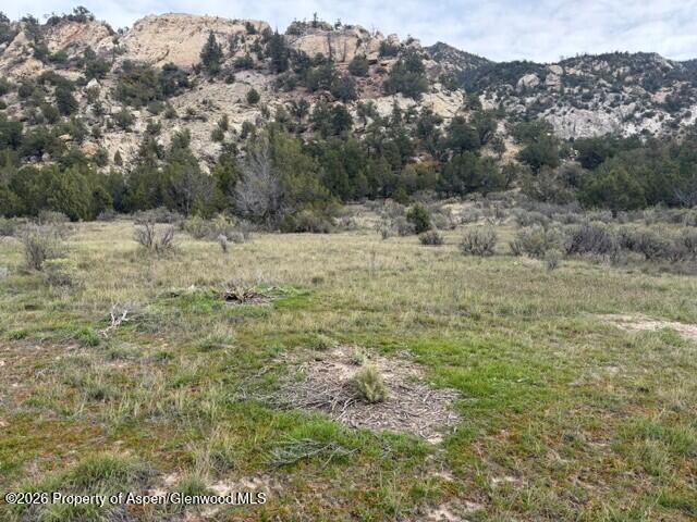 Tbd Highway 13 Rifle CO 81650