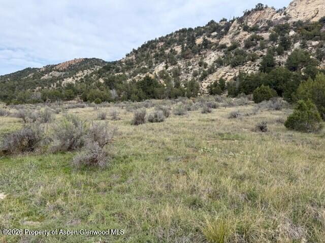 Tbd Highway 13 Rifle CO 81650