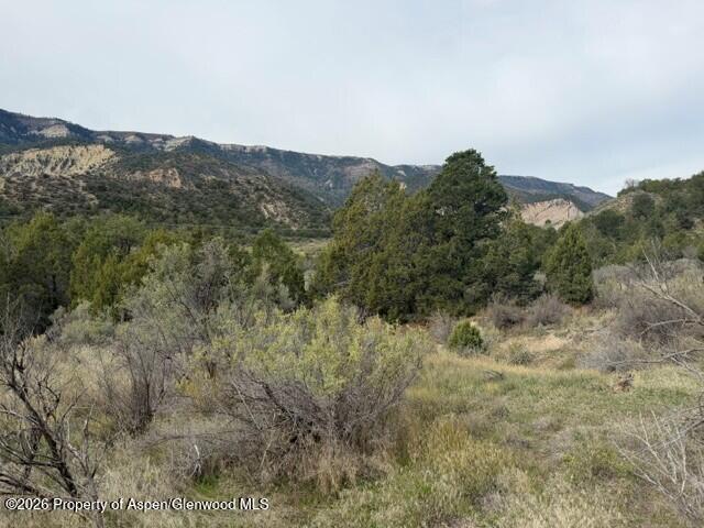 Tbd Highway 13 Rifle CO 81650