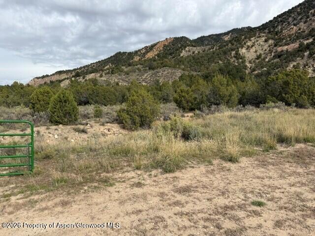 Tbd Highway 13 Rifle CO 81650