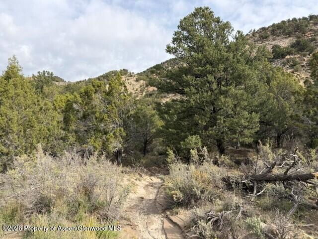 Tbd Highway 13 Rifle CO 81650