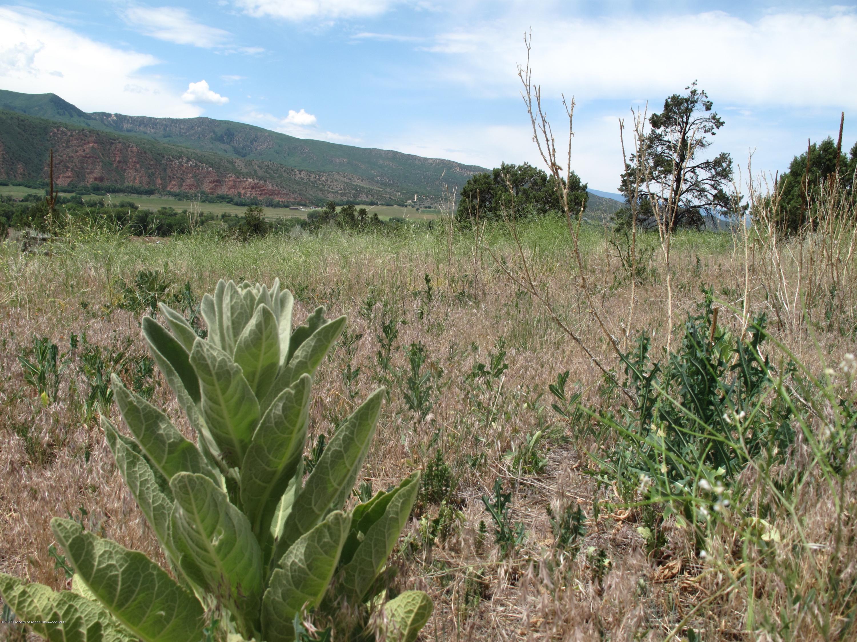 20317 Highway 82 Basalt CO 81621