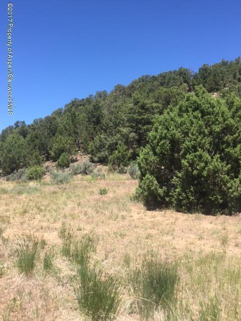 20317 Highway 82 Basalt CO 81621