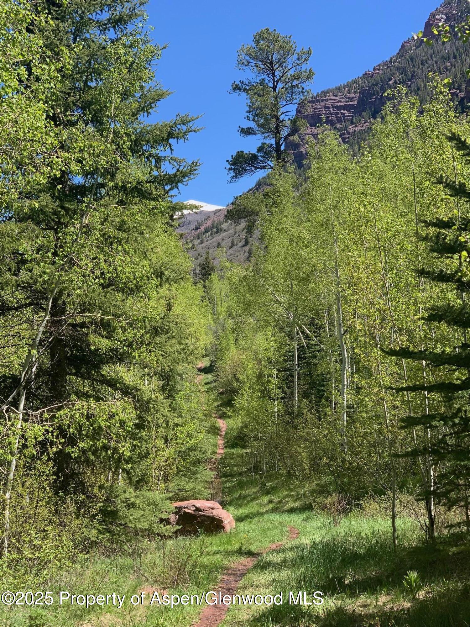 250 East Creek Road Redstone CO 81623