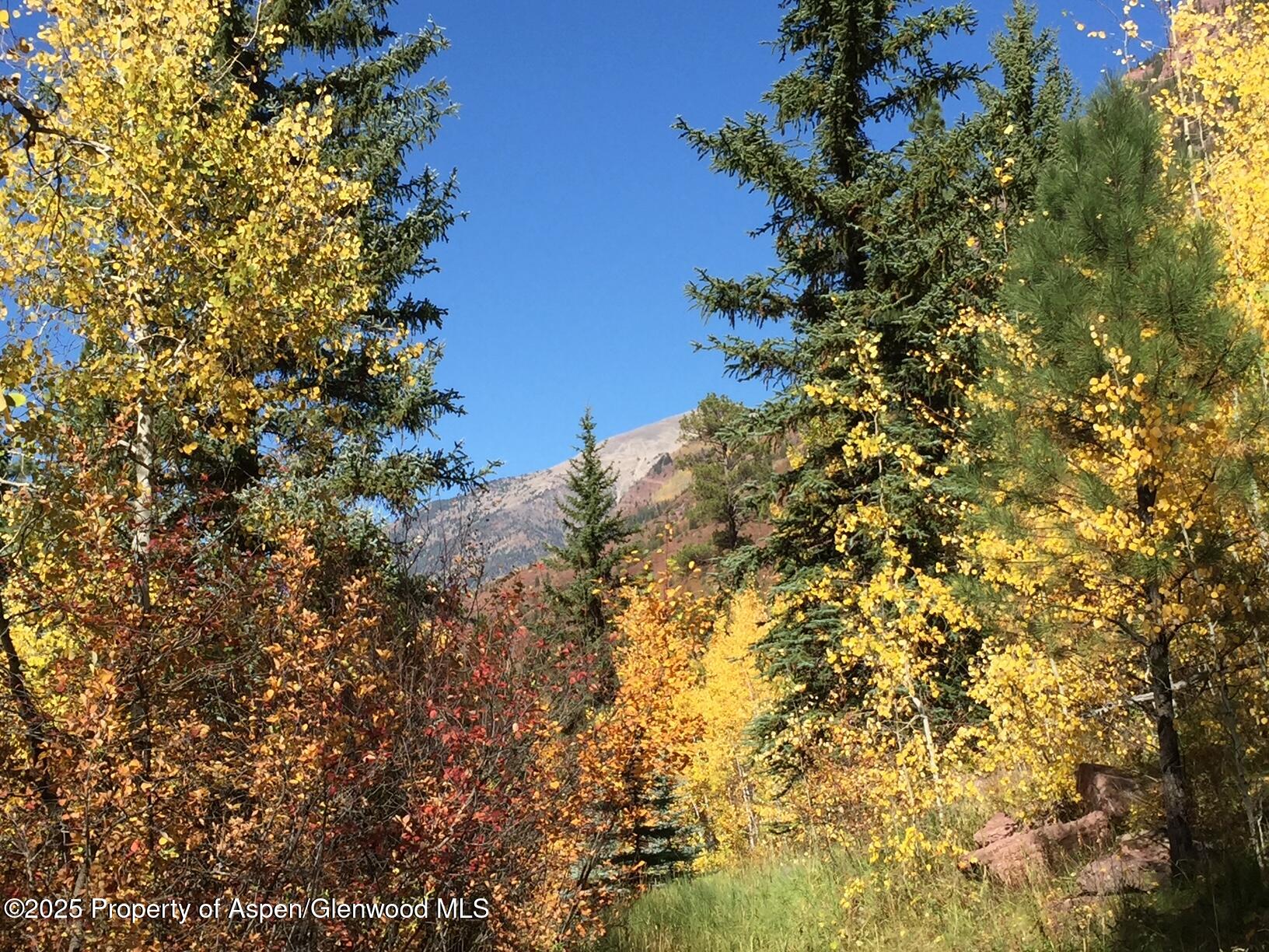 250 East Creek Road Redstone CO 81623