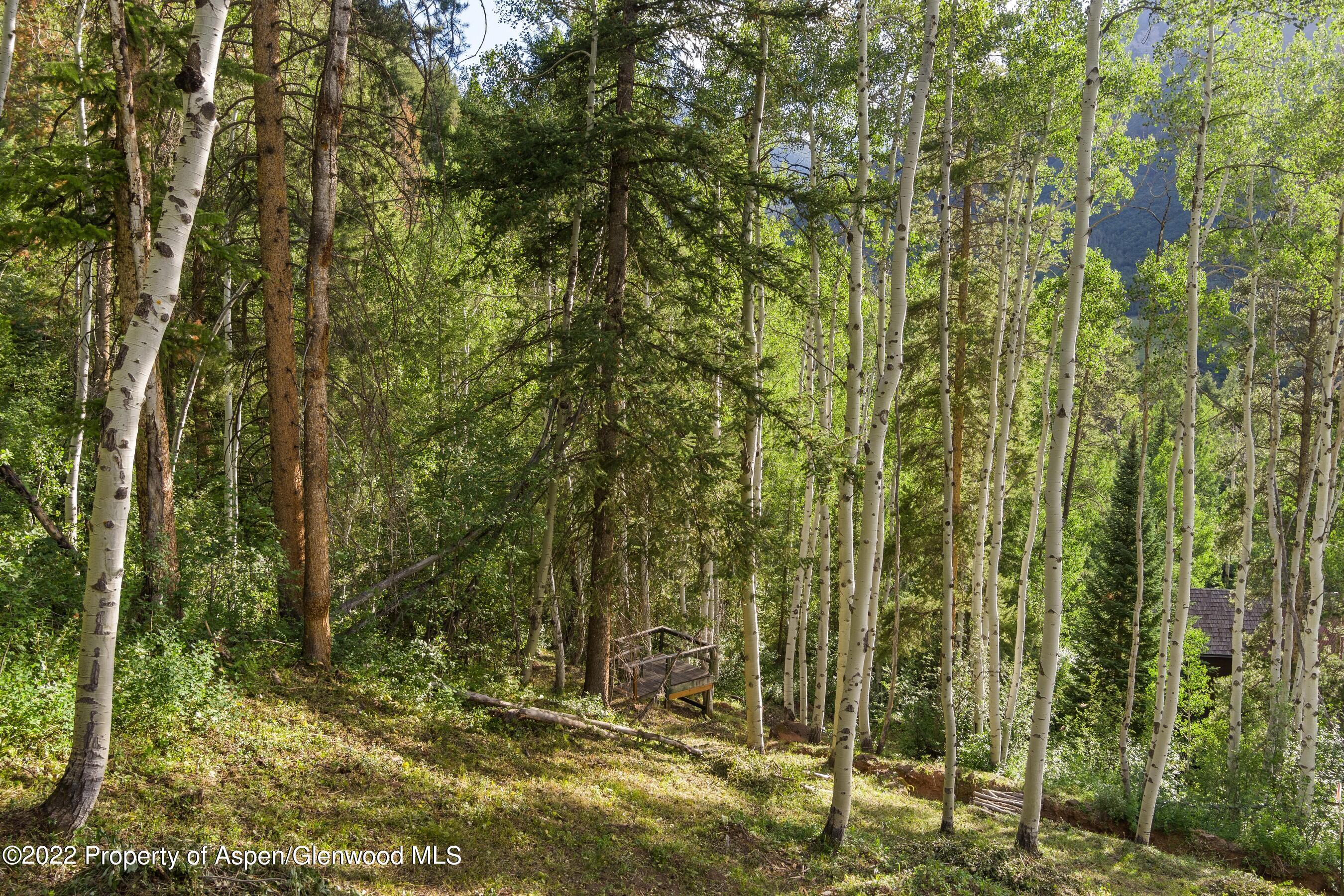 Tbd Exhibition Lane Aspen CO 81611